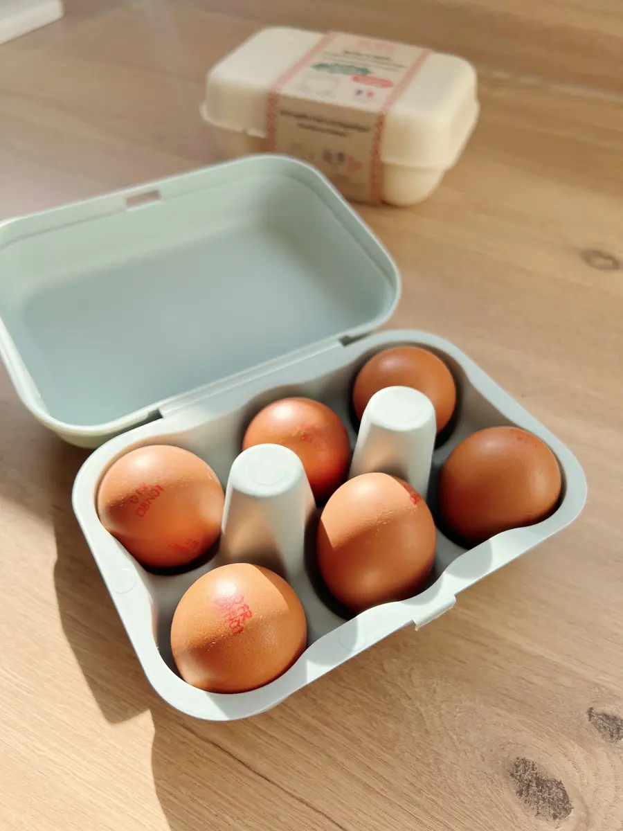 Boîte à oeuf en bioplastique