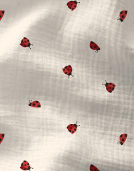 Double gaze Coccinelles