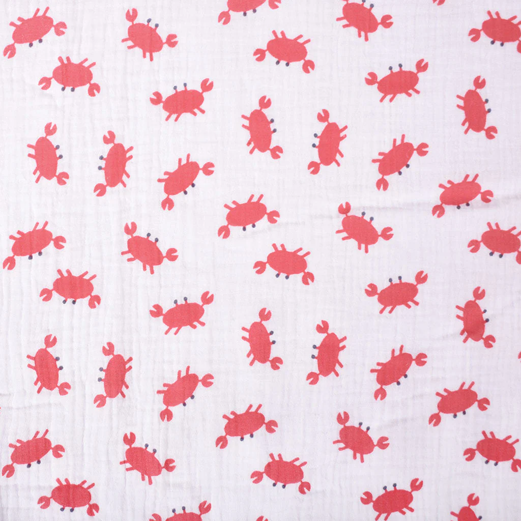 Double gaze Crabe