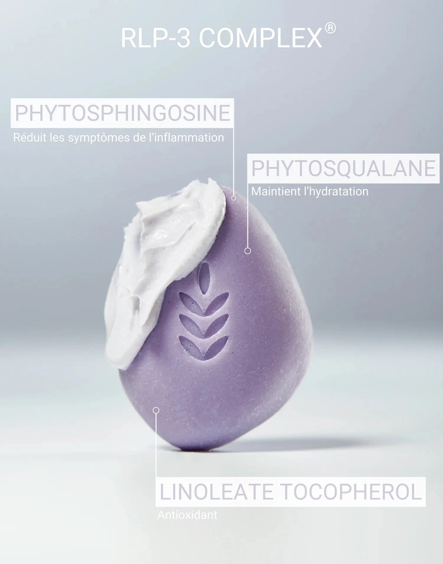 Exfoliant visage - Umaï - Image 3
